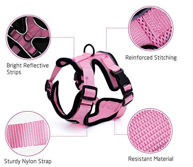 Escapeguard Cat Vest Harness And Car Seat Belt Adapter - Adjustable, Reflective, And Escape-Proof Harness For Cats And Small Dogs