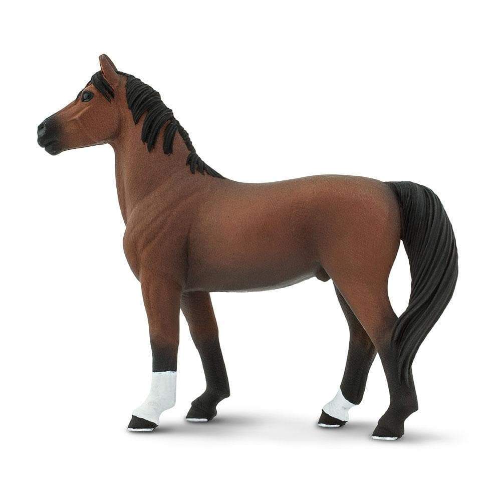 Morgan Stallion Toy